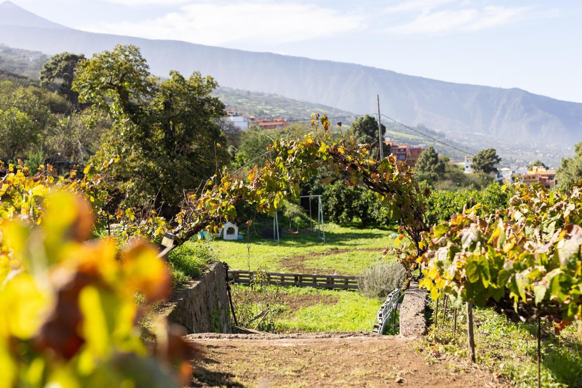Ek Drago Finca El Milagro لا أوروتافا المظهر الخارجي الصورة
